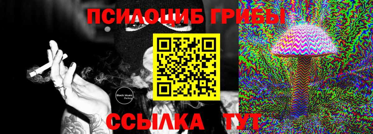 Галлюциногенные грибы Cubensis Дятьково