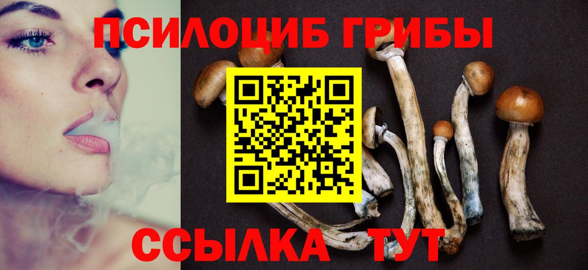 Дятьково  Псилоцибиновые грибы GOLDEN TEACHER  Галлюциногенные грибы Cubensis  Вход с VPN 