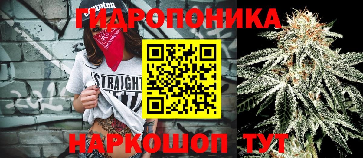 Бошки Шишки сатива Дятьково